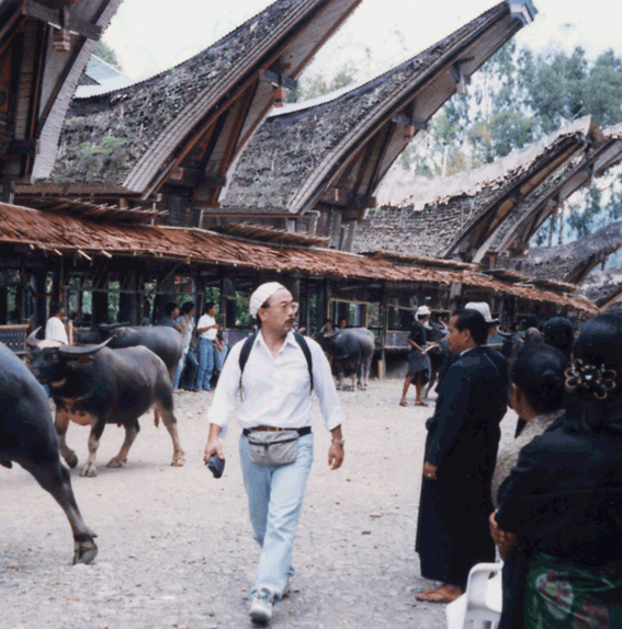 toraja